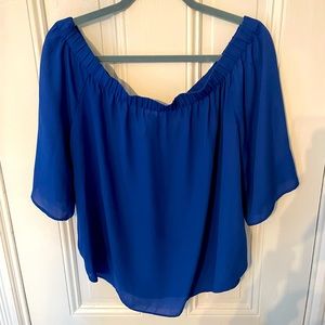 Sheer Blue Blouse